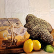 Load image into Gallery viewer, Panettone- Borsari Made in Italy - Guzzl