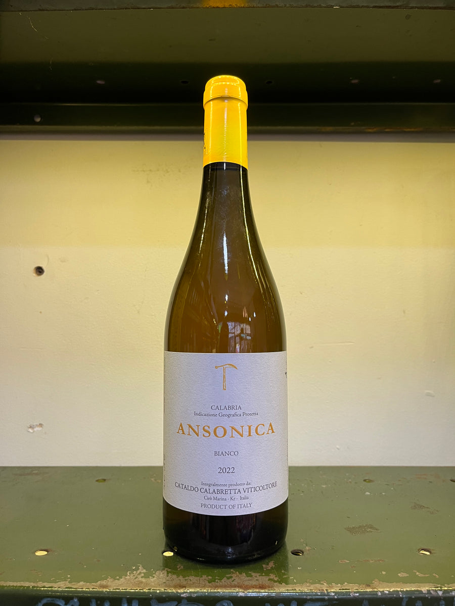 CATALDO CALABRETTA, ANSONICA,  2021 14%